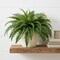3-Pack – 34-Inch Faux Boston Fern Plants with 49 Fronds – Decorative Silk Greenery for Indoor Spaces – Low-Maintenance, Realistic Look, Pot Not Included